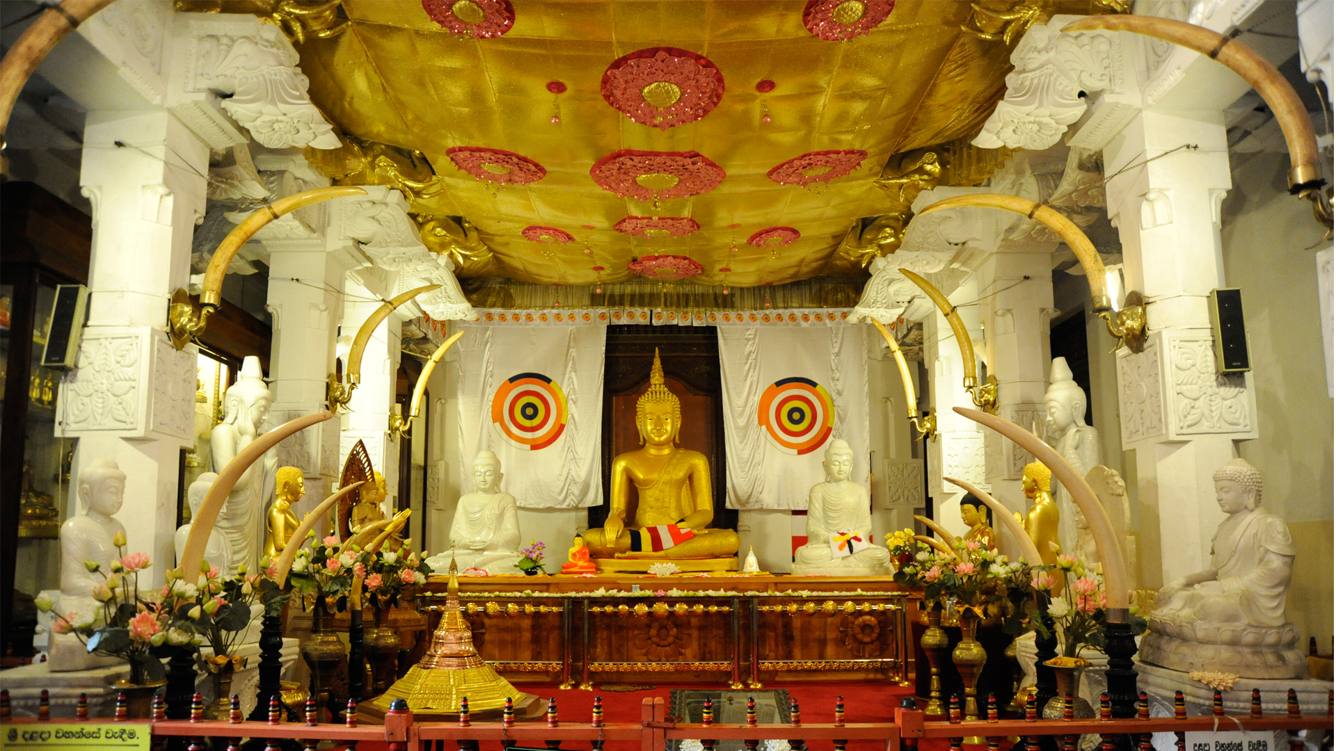 image 01