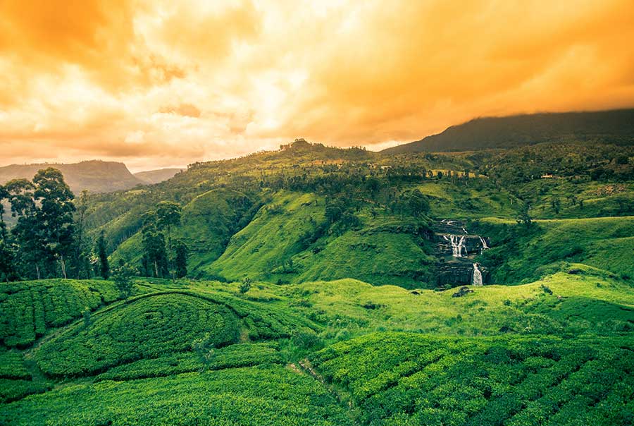 Nuwara Eliya